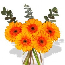 Small Gerbera Vase Bouquet