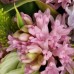 Hyacinth Flowers Bouquet